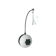 Enjoying Electric Intelligent Bite Resistant Cat Toys Pet Products